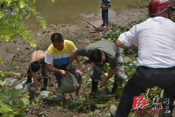 南縣防汛最新動態(tài)更新