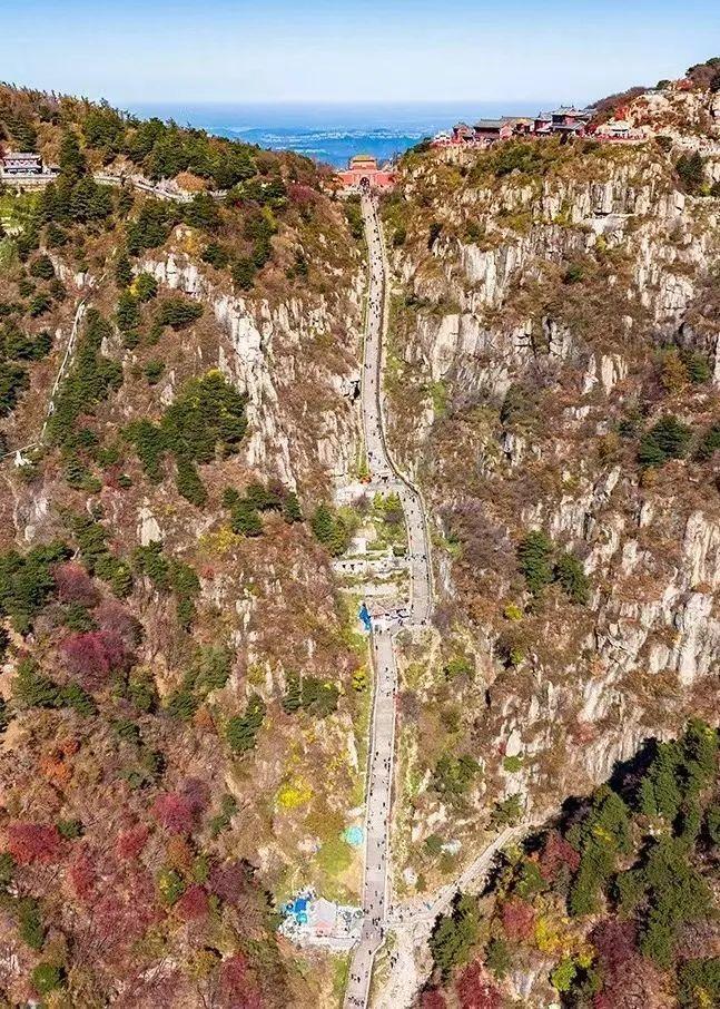 泰山最新聞，觀點與立場的深度探討