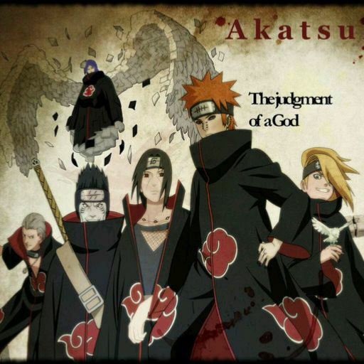 曉組織最新動(dòng)態(tài)揭秘，探究其發(fā)展與影響