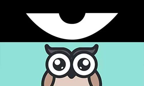 最新積目，全面解讀與觀點(diǎn)闡述