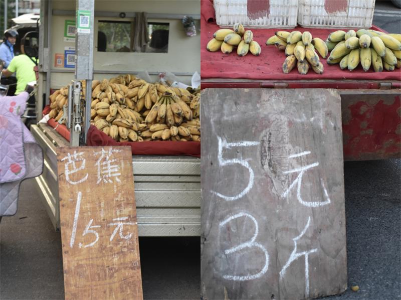 芭蕉最新價(jià)格，開(kāi)啟心靈平靜的綠色之旅