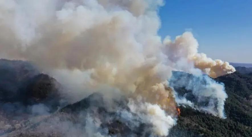 榆社山火防控指南，從初學(xué)者到進(jìn)階用戶的全步驟學(xué)習(xí)與防火任務(wù)實(shí)踐