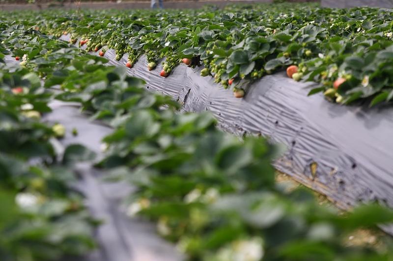 湖北最新封鎖，科技智能重塑防線，守護(hù)生活安全