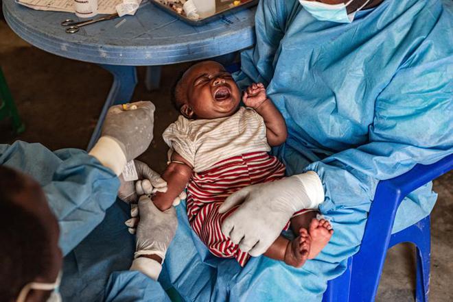 本土感染最新情況，自然美景中的探索之旅