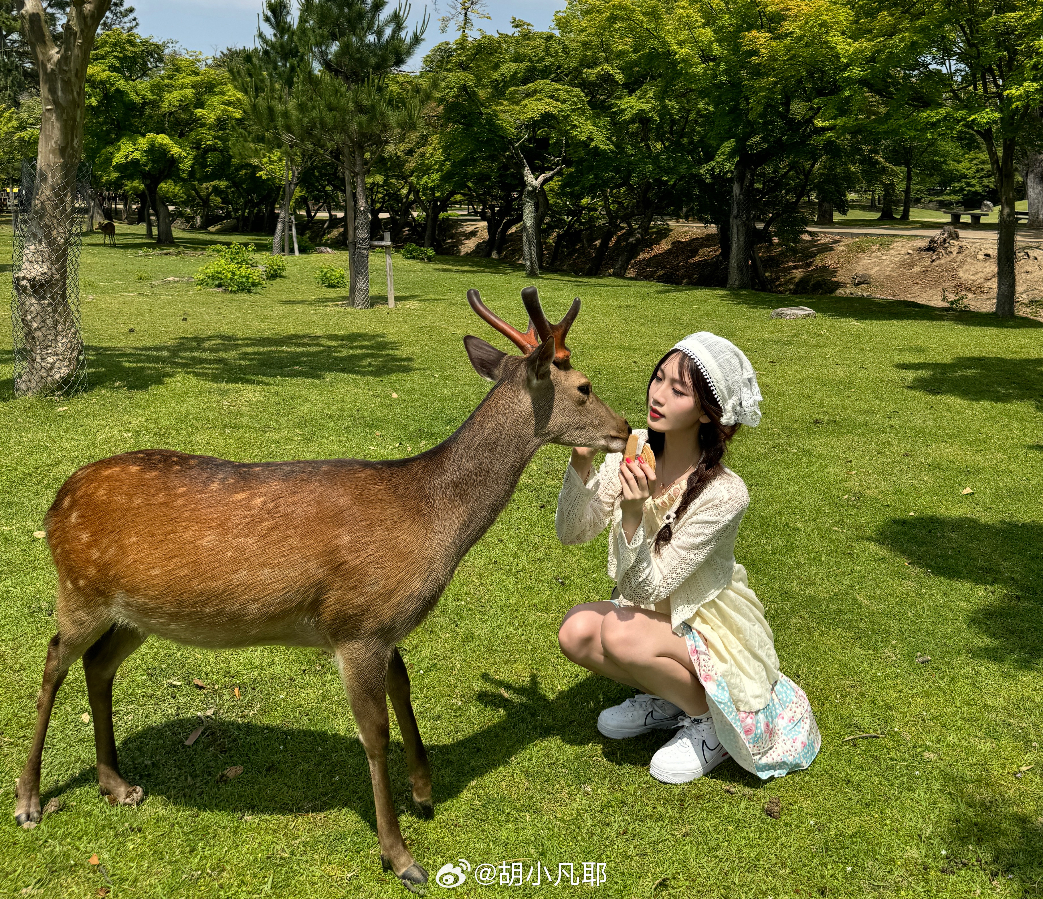 小鹿鹿最新，自然美景的探索之旅