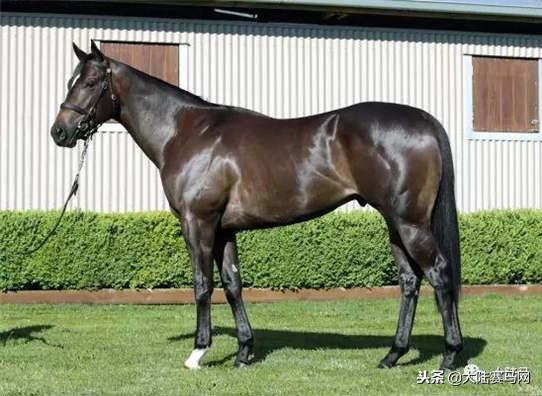 卡拉卡最新指南，任務完成與技能學習步驟攻略