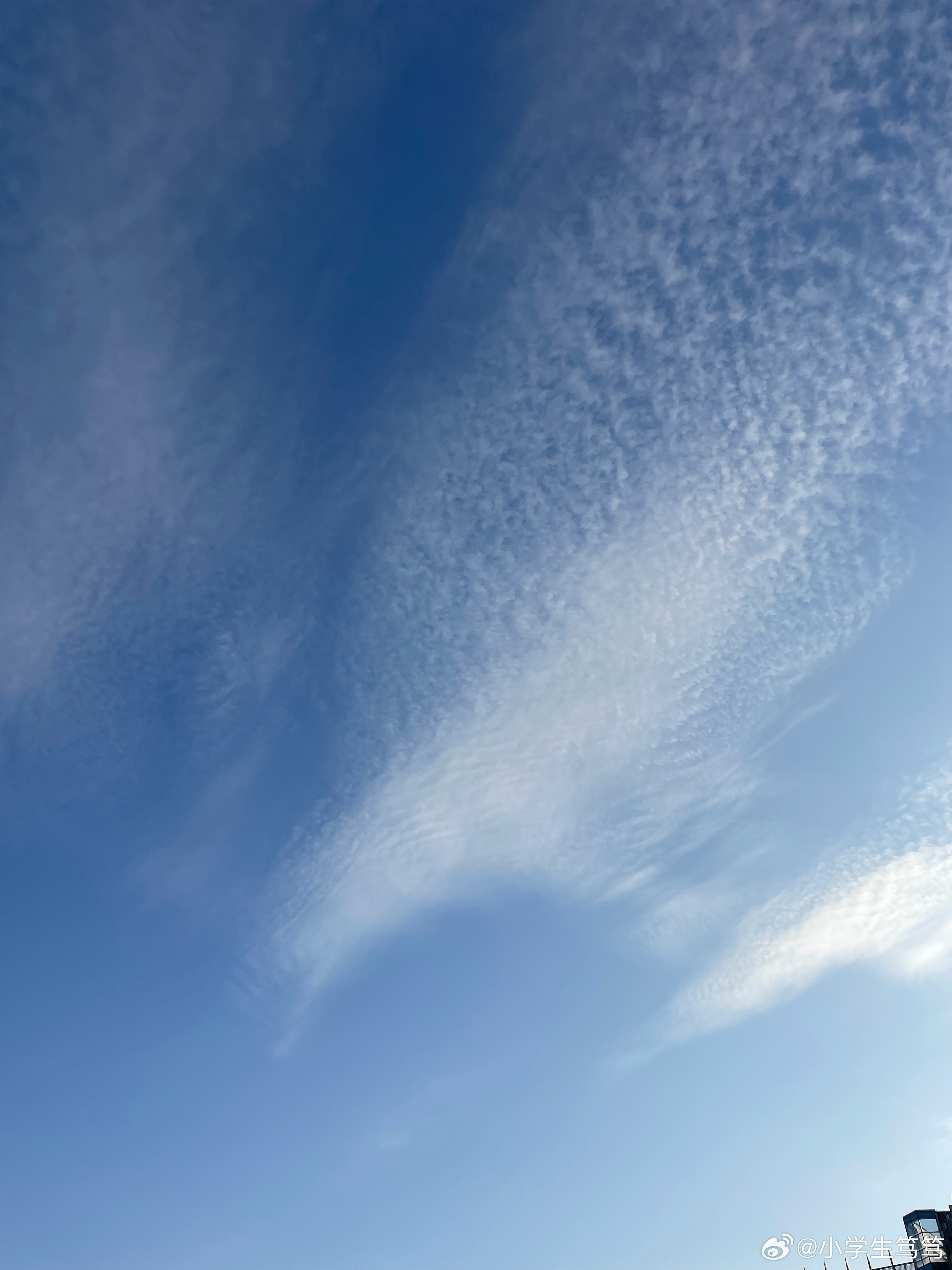 云飄飄最新，小巷深處的獨特風(fēng)味美食體驗