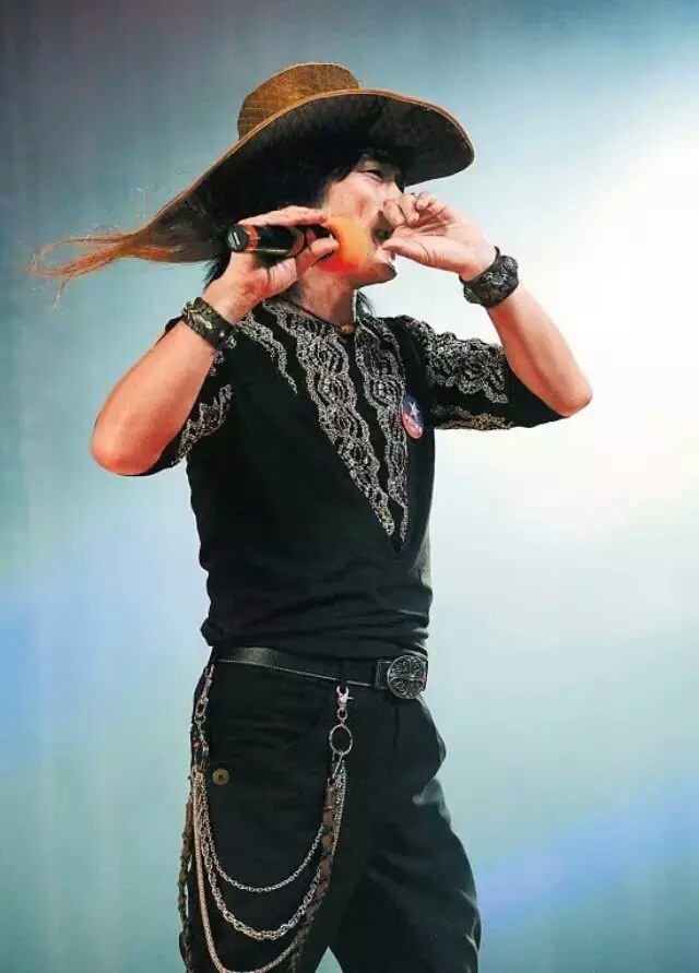 指哨最新，自然美景之旅，探尋內(nèi)心平靜與喜悅的旅程