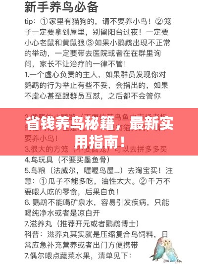 最新養(yǎng)鳥法規(guī)解析，觀點(diǎn)闡述與深度探討