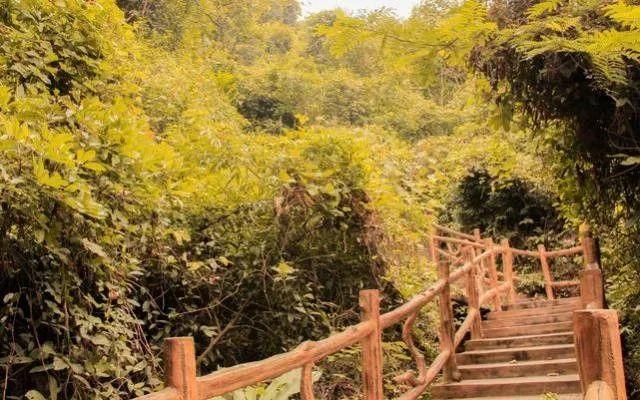 小99最新，科技、生活與娛樂的交融之地