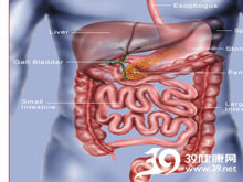 高科技產(chǎn)品重塑生活，體驗(yàn)前沿魅力，探索腸鳴最新技術(shù)