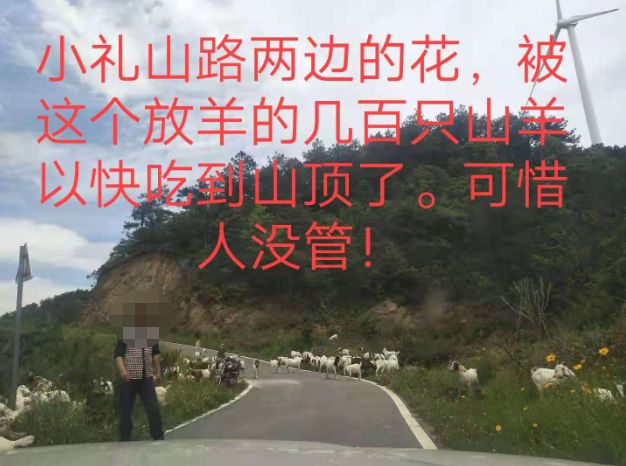 大悟最新路，探索未知，自信成就夢想之旅的啟程