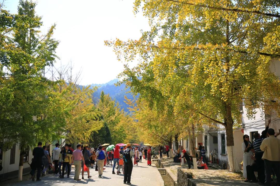 南雄最新現(xiàn)狀，科技前沿產(chǎn)品引領(lǐng)未來(lái)生活發(fā)展