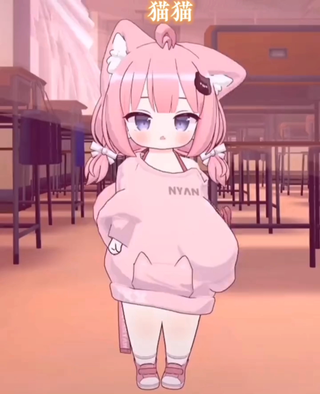 貓妹妹最新動(dòng)態(tài)，萌態(tài)盡顯，溫暖你的心??