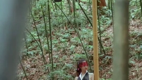 原野小年最新風(fēng)情，小巷深處的獨(dú)特魅力