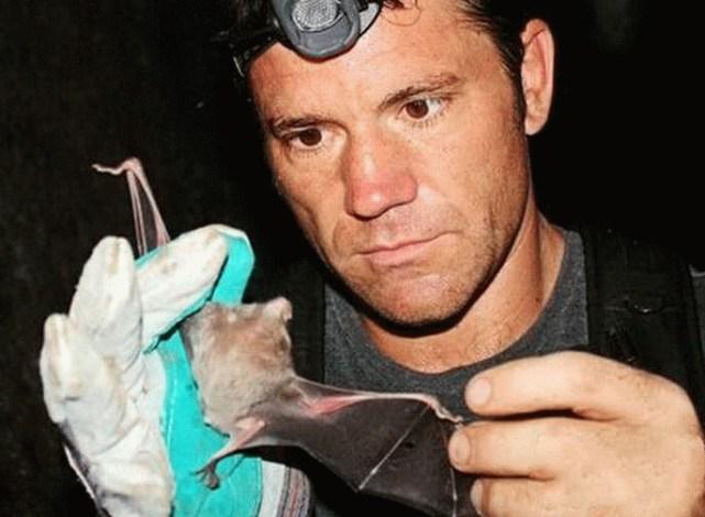 蝙蝠最新電影，自信與成長(zhǎng)的翅膀，勵(lì)志翱翔天空之旅