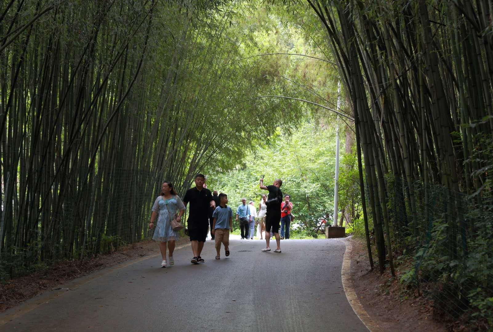 全家最新優(yōu)惠攻略，一步步教你享受最大優(yōu)惠折扣！