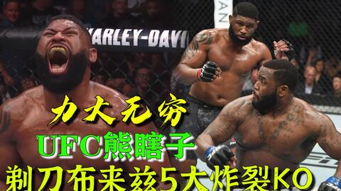 小菊最新比賽，友誼與夢(mèng)想的絢爛綻放