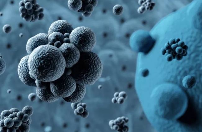 病毒擴(kuò)散最新情況，自然探險(xiǎn)之旅尋求內(nèi)心平和之地