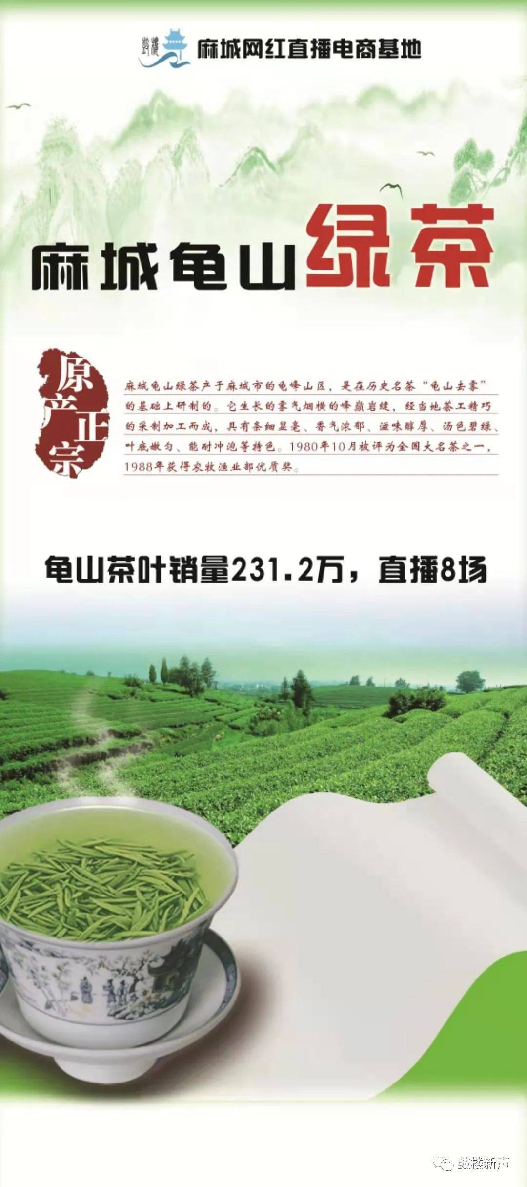 麻城最新宣傳動(dòng)態(tài)概覽