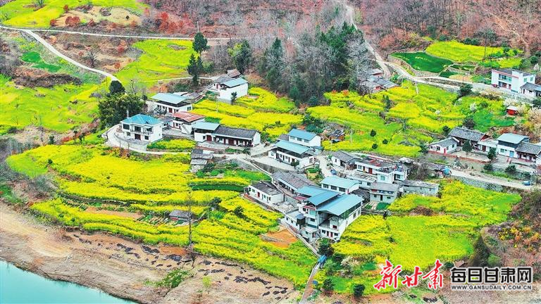 揭秘文縣，歷史背景、重大事件與時代地位全景展示