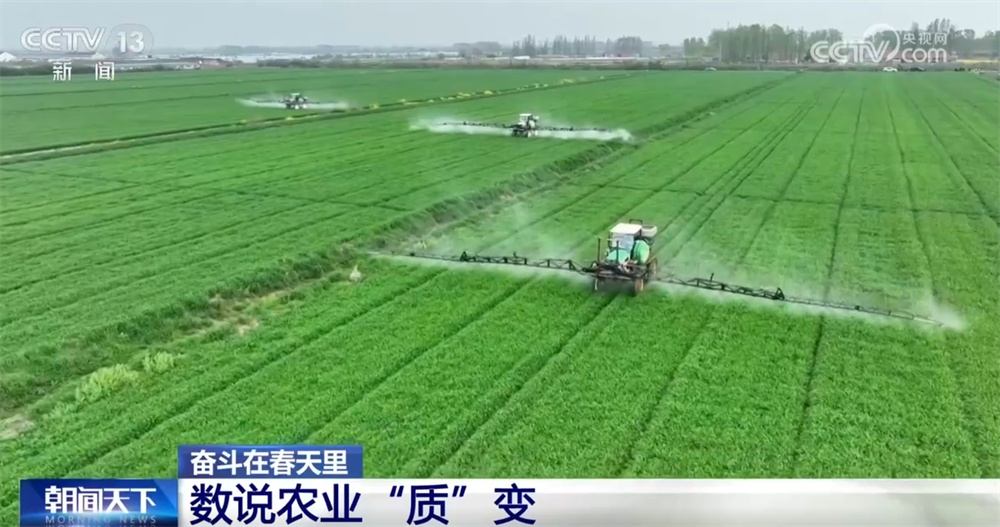 最新農(nóng)業(yè)農(nóng)村發(fā)展，播種希望，收獲自信與成就感