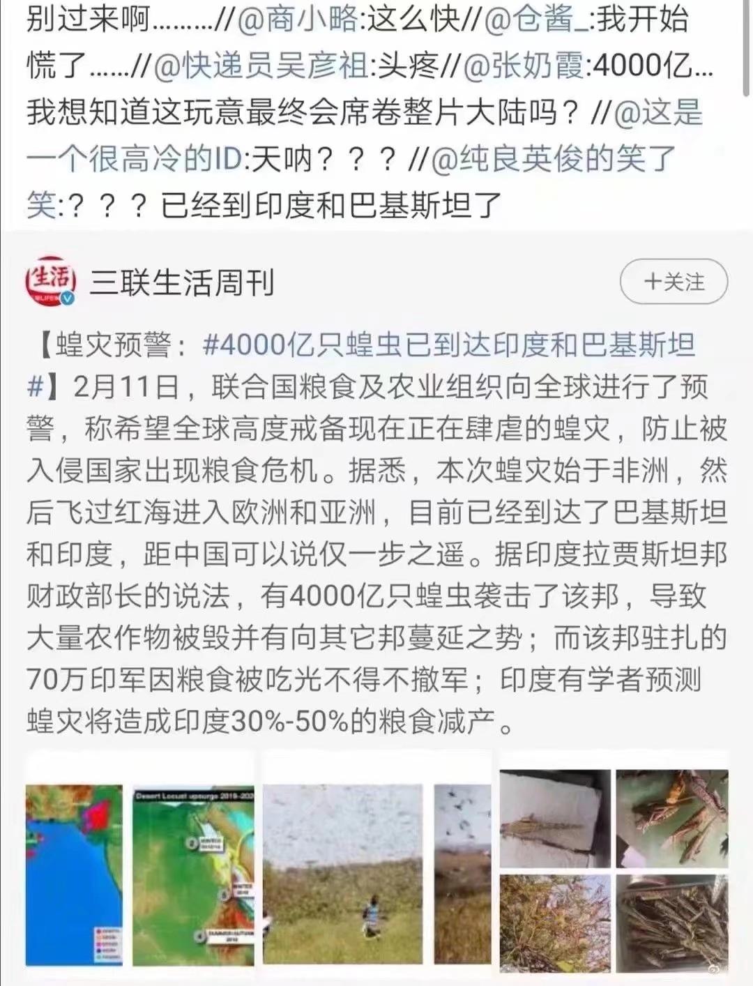 蝗蟲最新動態(tài)，防治與監(jiān)測的全面指南