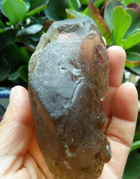 最新鑒定法，揭示友情的印記與家的溫馨