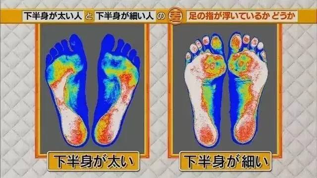 最新地趾論述，探索、爭議與觀點綜述