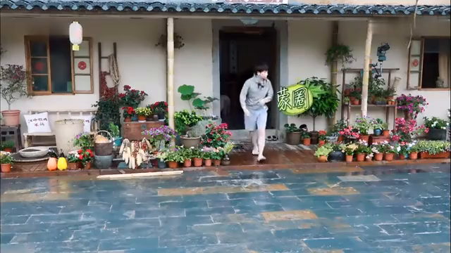 最新蘑菇屋，自然與生活完美融合的夢幻之地