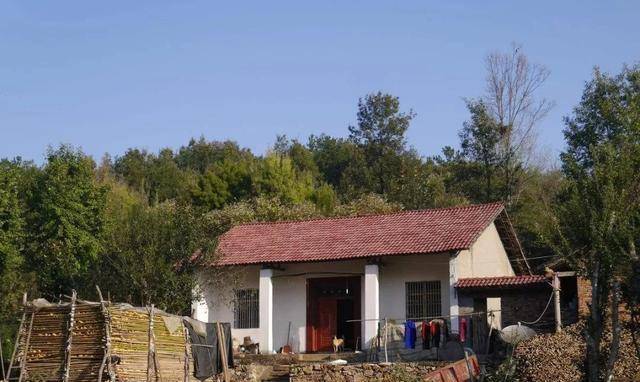 新時(shí)代田園生活揭秘，鄉(xiāng)村農(nóng)村的最新風(fēng)貌與體驗(yàn)