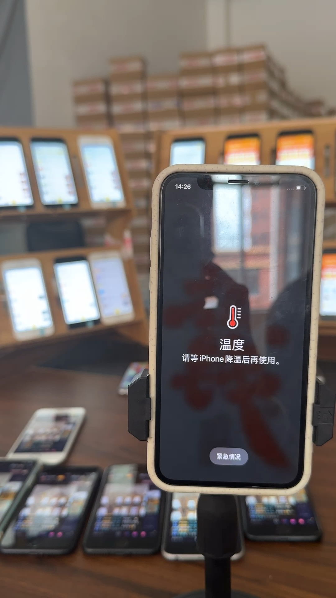 蘋果最新直播，科技與文化的完美融合盛宴