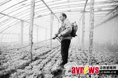 最新農(nóng)藥抽檢結(jié)果出爐，守護(hù)農(nóng)田安全，你我他的共同責(zé)任