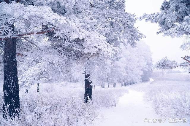 冬日暖陽下的溫馨日常，最新冬美文精選