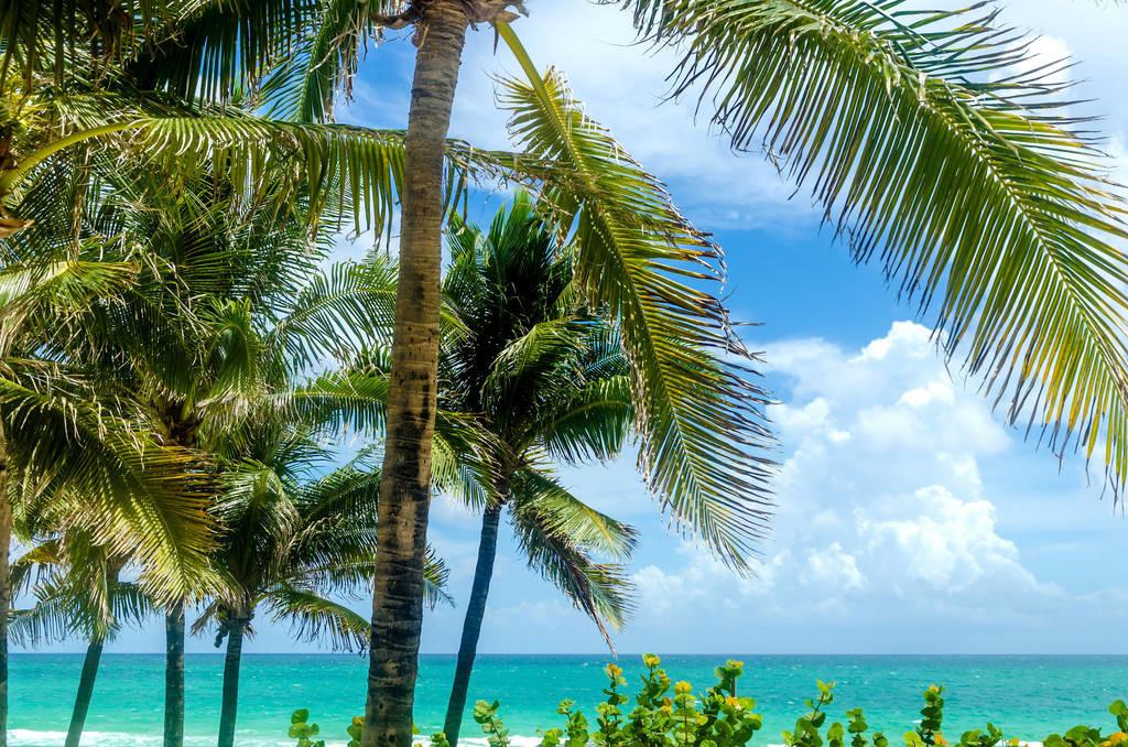 科技重塑旅行體驗(yàn)，最新付費(fèi)機(jī)場概覽