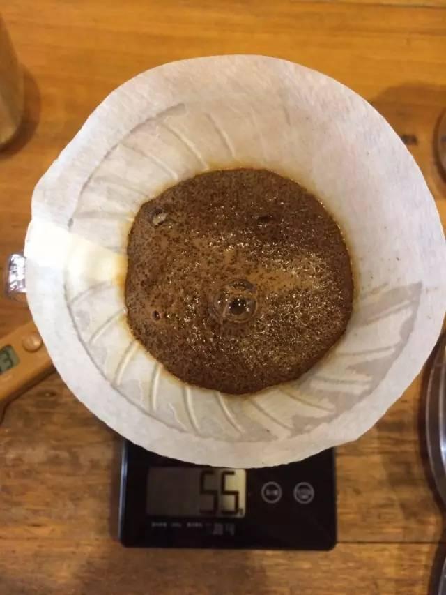 最新萃取法詳解，步驟指南與操作技巧