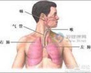 咸豐肺炎最新全面指南與詳解，癥狀、治療、步驟解析