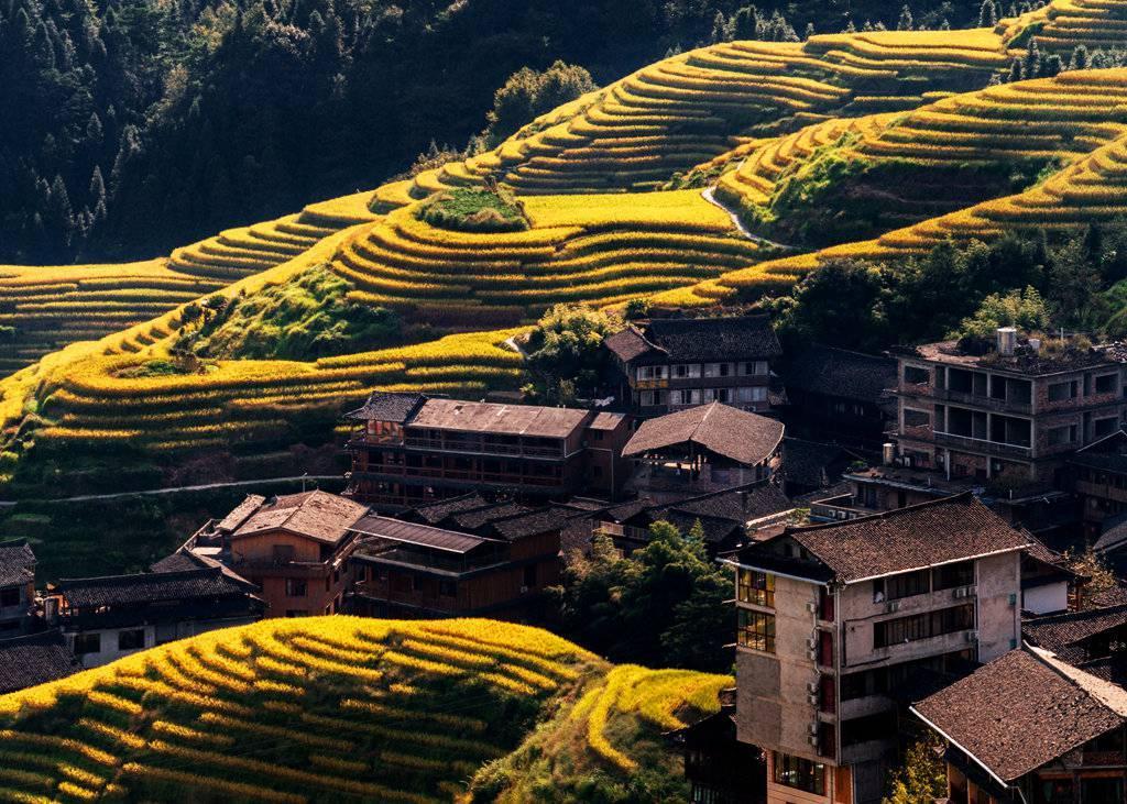 金秋天最新時(shí)尚潮流，獨(dú)特風(fēng)情展現(xiàn)魅力風(fēng)采