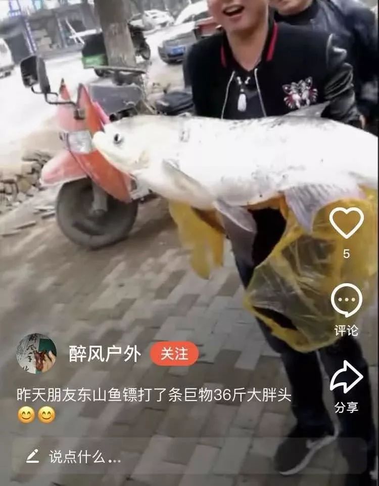 射魚神器進化升級，學習變革與自信成就之源