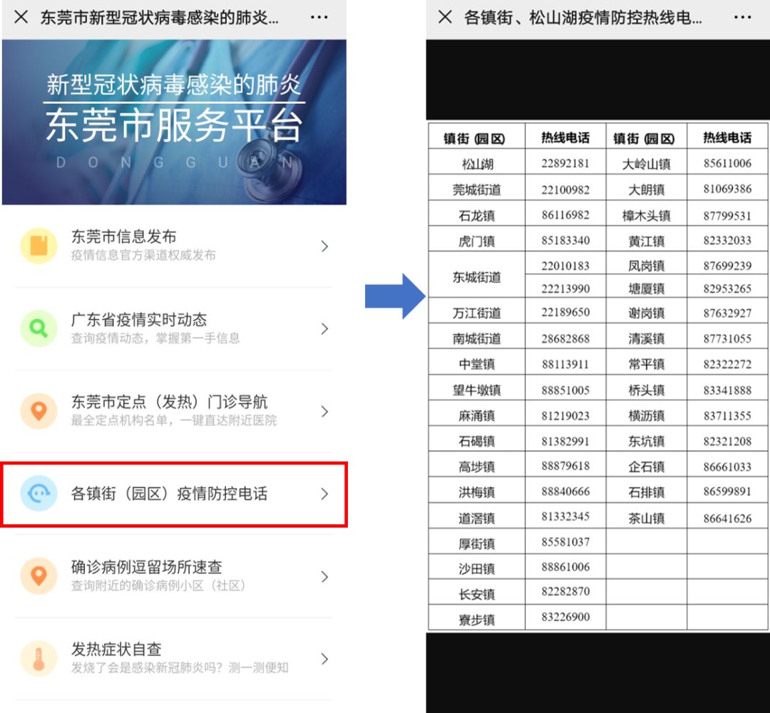 東莞最新疫情狀況，逆風翱翔，用知識守護夢想健康