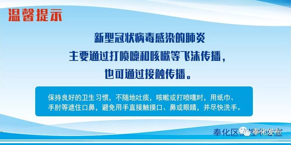余姚最新確診背后的自然探索之旅，重拾心靈寧靜與平和