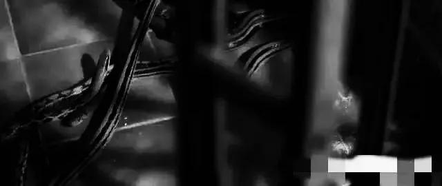 香港最新房價趨勢展望，2025年分析與展望