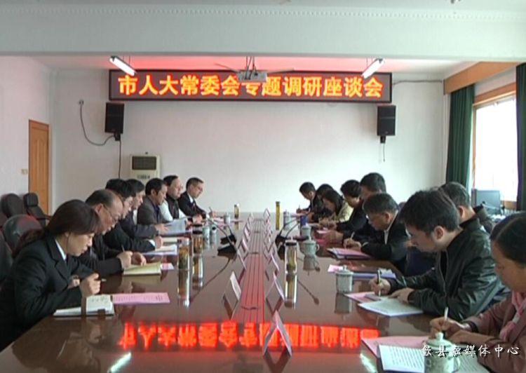 安徽歙縣最新動態(tài)，小巷深處的驚喜