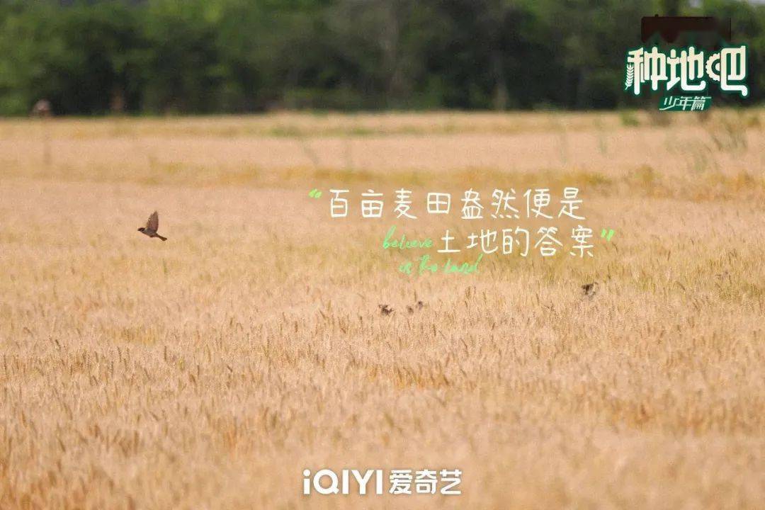 種地吧最新語(yǔ)錄，探索未來(lái)農(nóng)業(yè)的高科技魅力