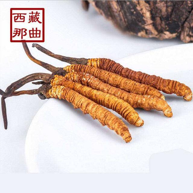 揭秘2025年蟲草最新價格，探尋小巷中的秘密行情！