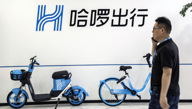 哈啰最新動態(tài)，擁抱自然美景的治愈之旅