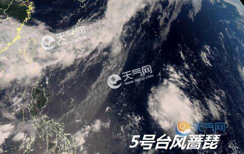 最新實時臺風(fēng)風(fēng)力查詢指南，風(fēng)力信息及查詢步驟全解析