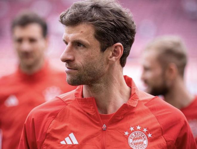 慕尼黑最新動態(tài)，城市生活的溫馨日常