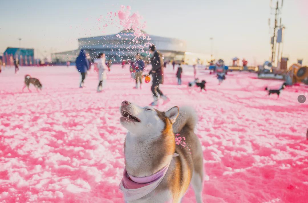 小信的世界最新科技前沿產(chǎn)品亮相，生活變革從此刻啟程