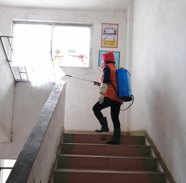 蓬江區(qū)最新高科技住宅，重塑未來生活體驗的首選之地